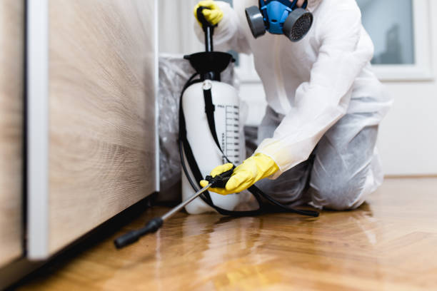 Best Insect Control  in Mcmillin, WA