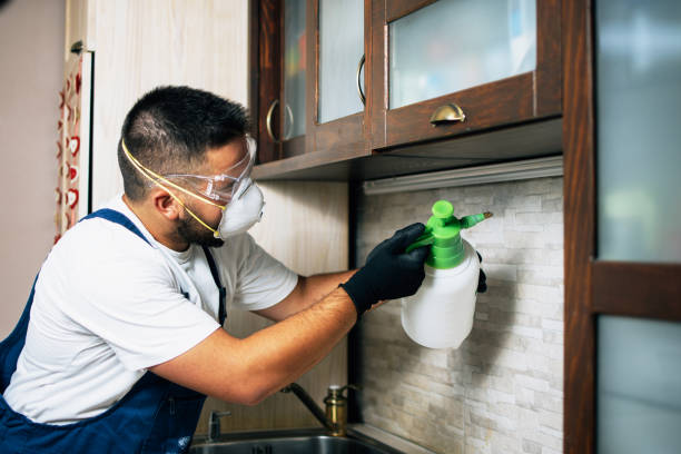Best Pest Control Near Me in Mcmillin, WA