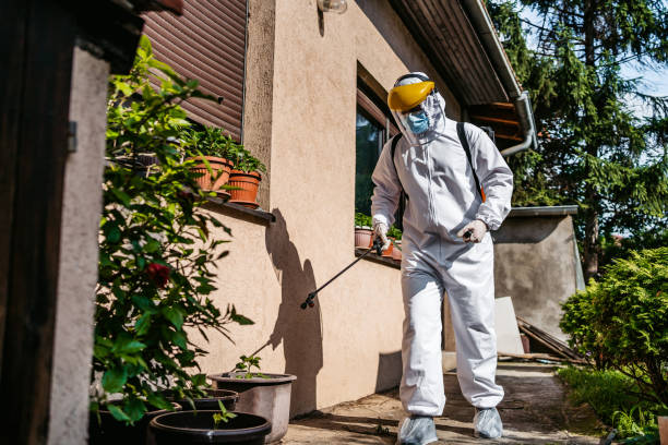 Best Emergency Pest Control  in Mcmillin, WA