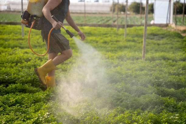 Best Pest Prevention Services  in Mcmillin, WA