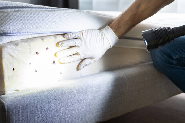 Best Pest Inspection Near Me  in Mcmillin, WA