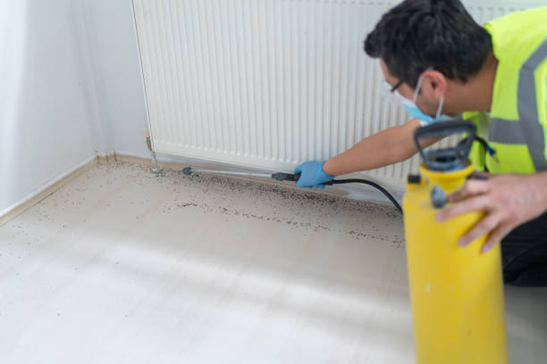 Best Mosquito Control Services  in Mcmillin, WA