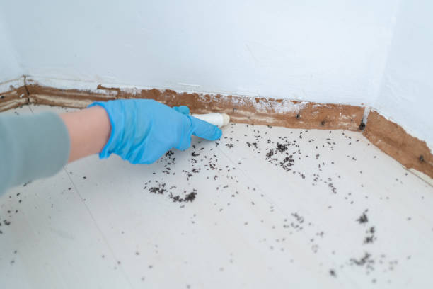 Mcmillin, WA Pest Control Company