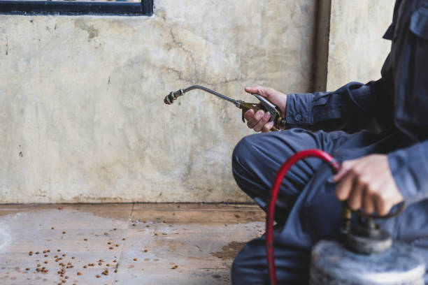 Best Pest Removal Services  in Mcmillin, WA