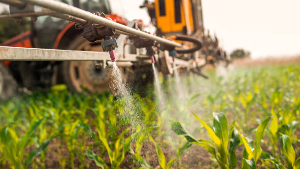 Best Insect Control  in Mcmillin, WA